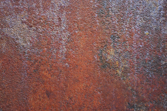 通江河上的摆渡人