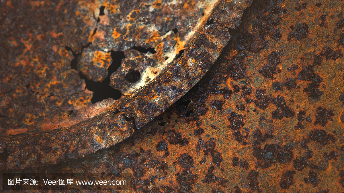 董鸿儒：一辈子 一座山 一片绿