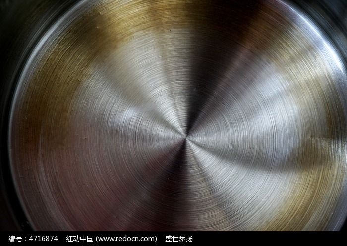 寿仙谷参加ISOTC249大会持续推动中医药国际标准制定