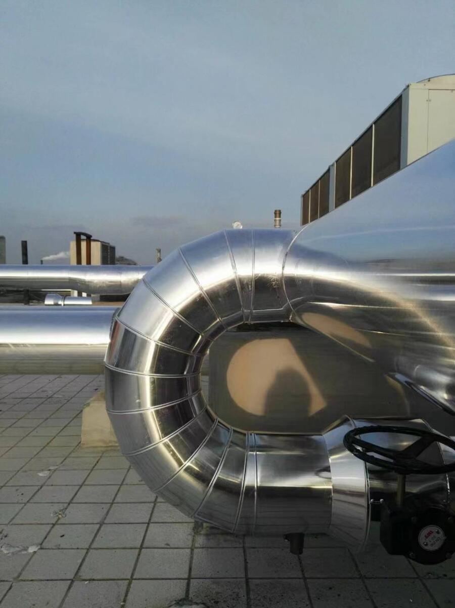 从山坳到都市：浙江景宁“一抹青绿”何以撬动千万级产业？